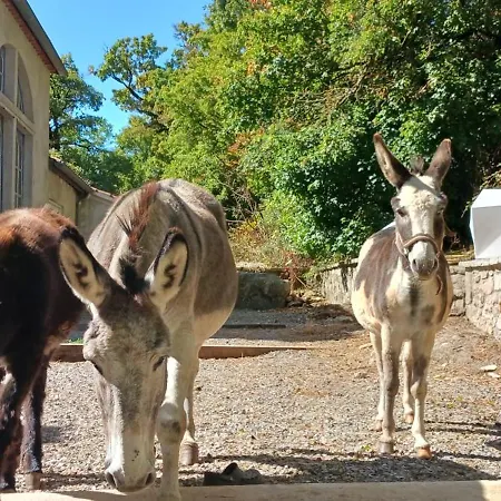 Domaine De Servieres - Le Appartement